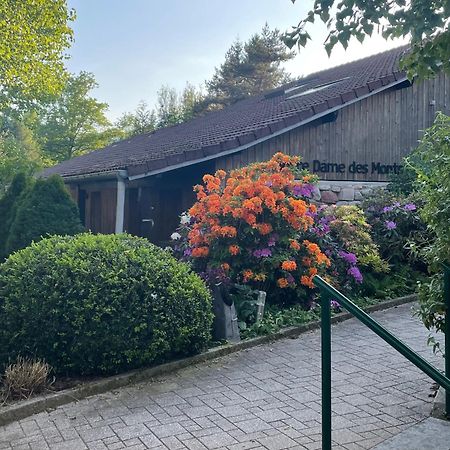 Hotel Notre Dame Des Monts Ban-sur-Meurthe-Clefcy Esterno foto