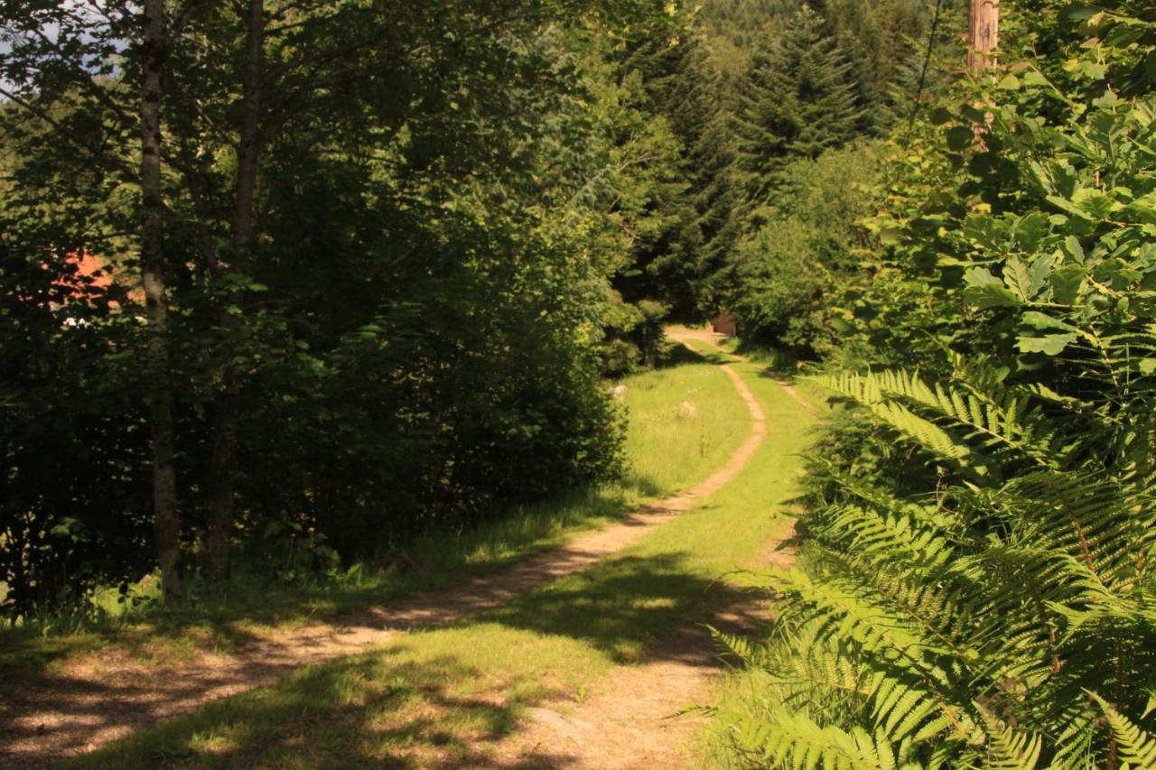 Hotel Notre Dame Des Monts Ban-sur-Meurthe-Clefcy Esterno foto
