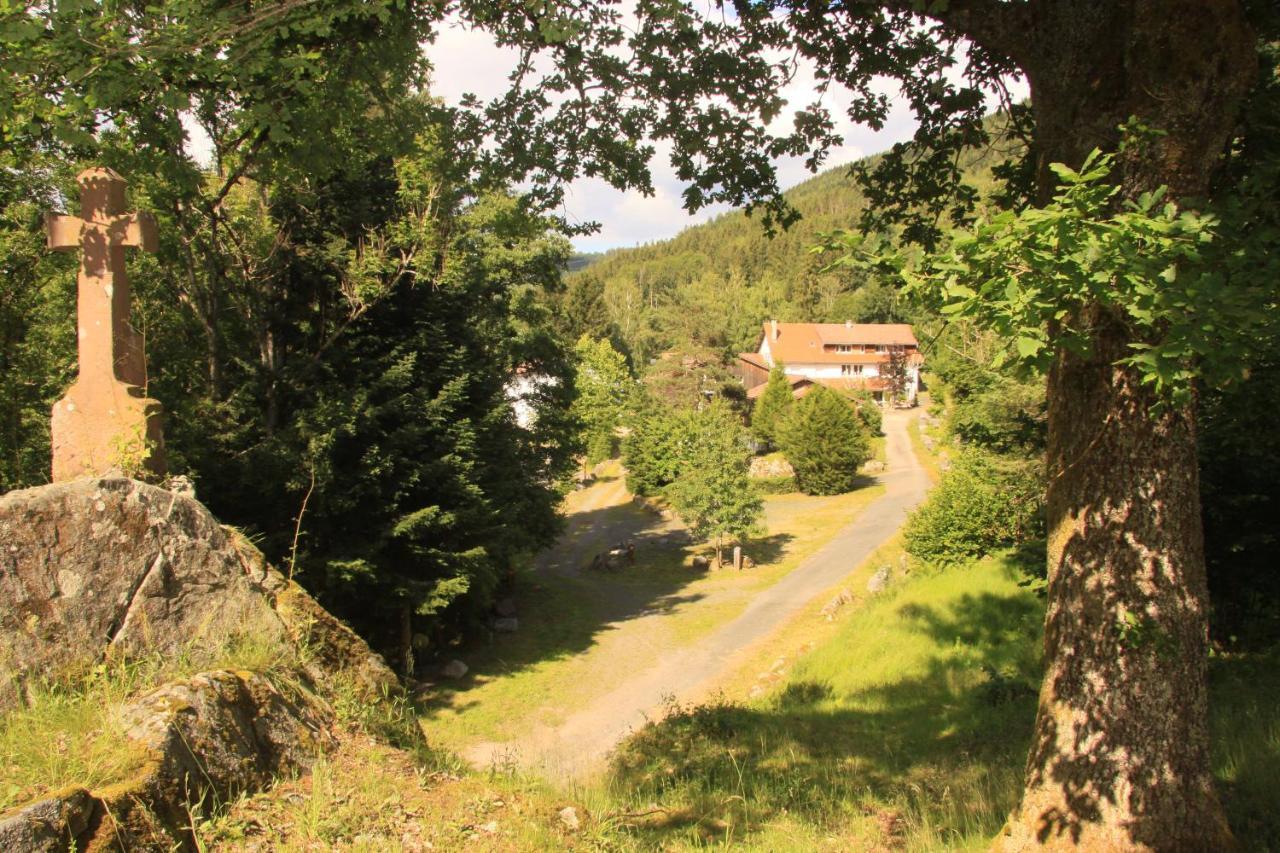 Hotel Notre Dame Des Monts Ban-sur-Meurthe-Clefcy Esterno foto