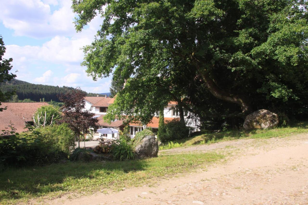 Hotel Notre Dame Des Monts Ban-sur-Meurthe-Clefcy Esterno foto