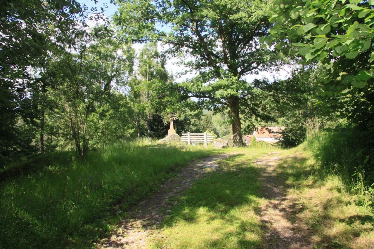 Hotel Notre Dame Des Monts Ban-sur-Meurthe-Clefcy Esterno foto