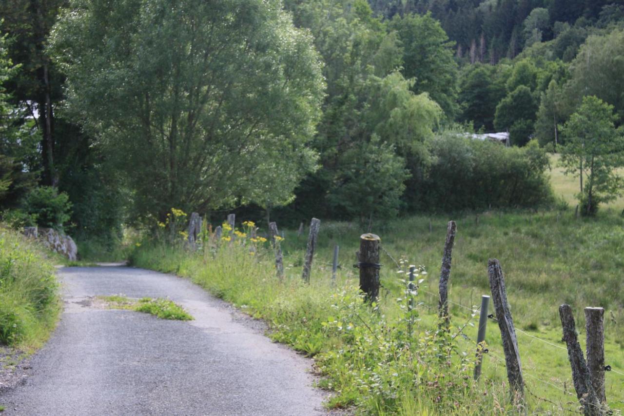 Hotel Notre Dame Des Monts Ban-sur-Meurthe-Clefcy Esterno foto