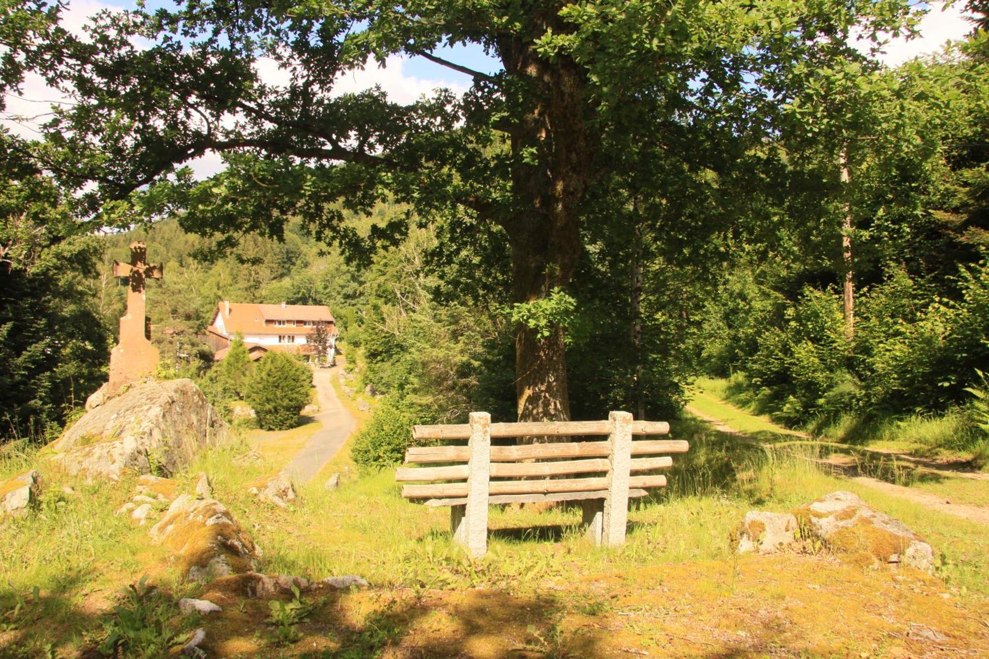Hotel Notre Dame Des Monts Ban-sur-Meurthe-Clefcy Esterno foto